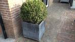 Plantenbak, Tuin en Terras, Bloembakken en Plantenbakken, Ophalen of Verzenden, Metaal, Minder dan 60 cm
