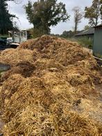 Gratis paardenmest, Tuin en Terras, Aarde en Mest, Ophalen of Verzenden, Tuinaarde