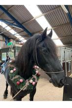 2 kerst kransen voor fotoshoots, Ophalen of Verzenden, Gebruikt, Overige soorten