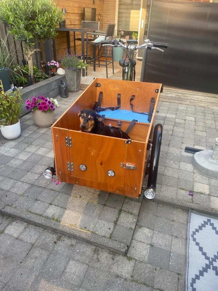 Bakfiets Polak Cangoo easy-e army green, Fietsen en Brommers, Fietsen | Bakfietsen, Zo goed als nieuw, Overige merken, 4 kinderen of meer