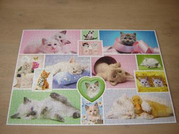 Puzzel Schmidt SCHATTIGE KATTEN 1000 st.   beschikbaar voor biedingen