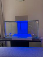 Fluval Edge 23L Aquarium, Dieren en Toebehoren, Vissen | Aquaria en Toebehoren, Ophalen, Zo goed als nieuw, Leeg aquarium