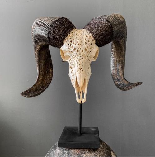 Skull Art - Handgesneden witte Ramschedel, Antiek en Kunst, Kunst | Designobjecten, Ophalen of Verzenden