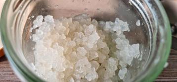 100% Biologische Water Kefir (officieel plantje) waterkefir beschikbaar voor biedingen