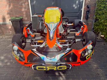 CRG Rotax Max Senior Kart beschikbaar voor biedingen