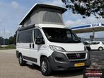 Hymer SYDNEY 495 compact met hefdak, Caravans en Kamperen, Campers, Buscamper of Camperbus, Bedrijf, Hymer, 4 tot 5 meter