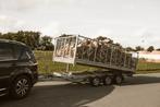 Haardhout Eik en Beuk, Halfdroog! Volgende seizoen te stoken, 6 m³ of meer, Verzenden, Blokken