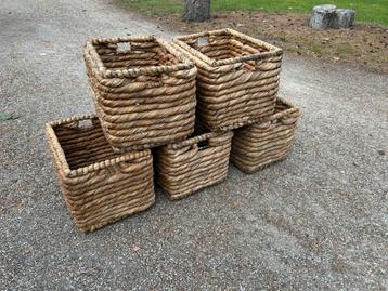 Set van 5 stevige bananenblad manden beschikbaar voor biedingen