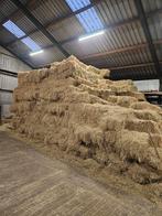 Hooi en stro, Dieren en Toebehoren, Stalling en Weidegang