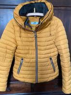 Gewatteerde winter/ski jas. Bond en capuchon, Ophalen of Verzenden, Zo goed als nieuw, Maat 36 (S), Oranje