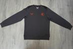 Grijze Feyenoord Castore trui maat 158, Trui of Vest, Ophalen of Verzenden, Zo goed als nieuw, Feyenoord