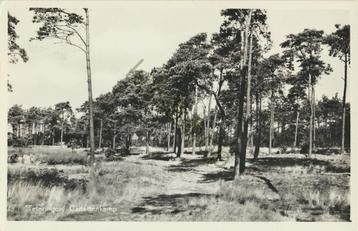 Teteringen - Cadettenkamp [KRST005-7599 beschikbaar voor biedingen