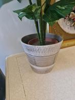 90 cm hoge kunstplant in vintage bloempot foto 1 t/m 6, Belle Vieille Brocante, Ophalen of Verzenden, Zo goed als nieuw, Jolandamonsieurs@gmail.com