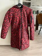 Winter jas dames, Kleding | Dames, Jassen | Winter, Ophalen of Verzenden, Zo goed als nieuw