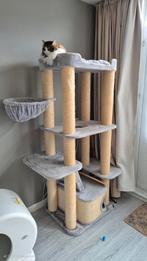 Grote stevige krabpaal, Dieren en Toebehoren, Ophalen, Krabpaal