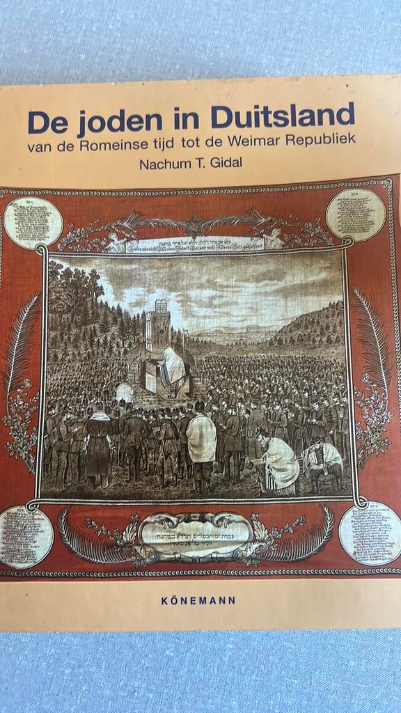 Joden in Duitsland, Boeken, Ophalen of Verzenden, Zo goed als nieuw