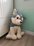 Husky knuffel XXL, Ophalen of Verzenden, Zo goed als nieuw