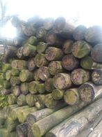 dikke palen diameter 10 cm en lengte 3.50 m, Tuin en Terras, Palen, Balken en Planken, Ophalen, Gebruikt, 250 cm of meer, Palen