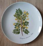Fürstenberg wandbord, Antiek en Kunst, Antiek | Servies los, Ophalen of Verzenden
