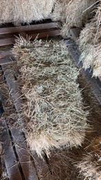 Kleine pakken hooi, Dieren en Toebehoren, Ophalen of Verzenden