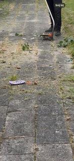 Onkruid vrij en tuinonderhoud, Ophalen of Verzenden
