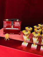 Piano spelen pianoles Zaandam Oostzaan, Ophalen of Verzenden, Zo goed als nieuw, Overige onderwerpen
