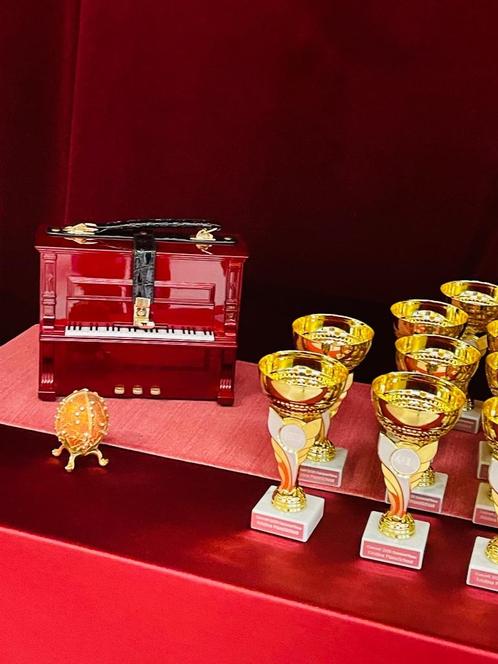 Piano spelen pianoles Zaandam Oostzaan, Boeken, Hobby en Vrije tijd, Zo goed als nieuw, Overige onderwerpen, Ophalen of Verzenden