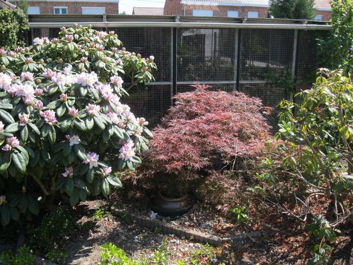 ALU Kooi vogelkooi 6 slieten (4,3m op 4,75m)., Dieren en Toebehoren, Vogels | Hokken en Kooien, Zo goed als nieuw, Vogelkooi, Aluminium