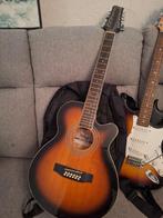 12 snarige gitaar Stagg, Ophalen, Gebruikt, Overige typen