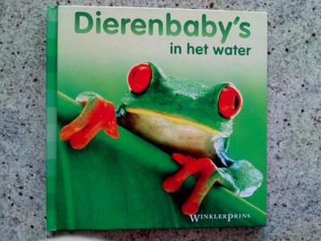 Dierenbaby’s in het water (w) beschikbaar voor biedingen
