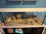 Hamsterkooi / terrarium met accesoires en hamster., Kooi, 110 cm of meer, Zo goed als nieuw, Hamster