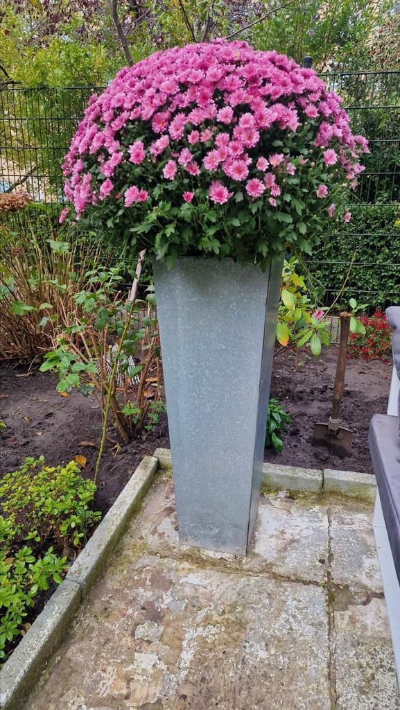 2x Grote, Hoge Metalen Beton-Look Plantenbakken   |, Tuin en Terras, Bloembakken en Plantenbakken, Zo goed als nieuw, Metaal, Tuin