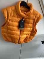 Goldbergh roxy bodywarmer maat 40 nieuw, Kleding | Dames, Bodywarmers, Maat 38/40 (M), Nieuw, Oranje, Ophalen of Verzenden