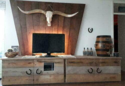 Longhorn skulls wit 1m70 breed , nergens goedkoper !!!!!, Huis en Inrichting, Woonaccessoires | Wanddecoraties, Nieuw, Ophalen of Verzenden