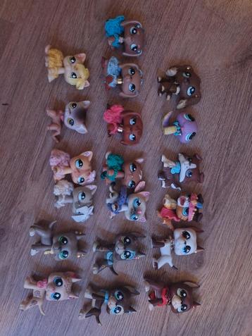 Littelpetshop zeldzame beschikbaar voor biedingen