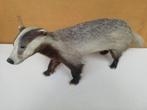 Taxidermie das / Opgezette das, Ophalen, Gebruikt, Wild dier, Opgezet dier