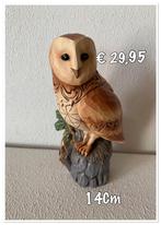 Woodland Wisdom : Jim Shore, Ophalen of Verzenden, Overige figuren, Nieuw, Beeldje of Figuurtje