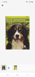 Boek Berner sennenhond, Zo goed als nieuw, Ophalen