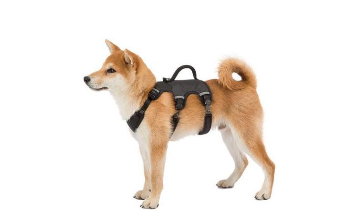 Ferplast veiligheidstuig maat M, Dieren en Toebehoren, Honden-accessoires, Nieuw, Ophalen