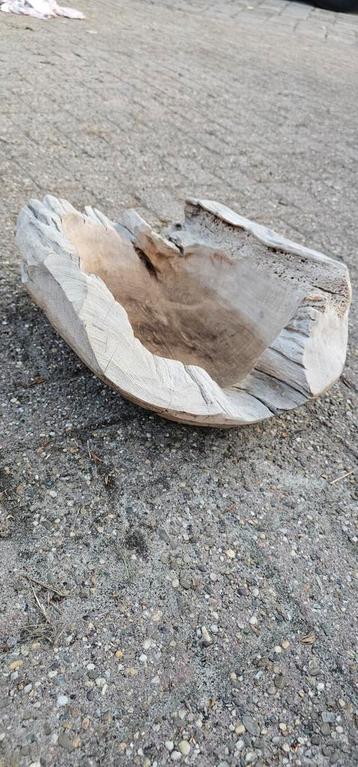 Newborn beschikbaar voor biedingen