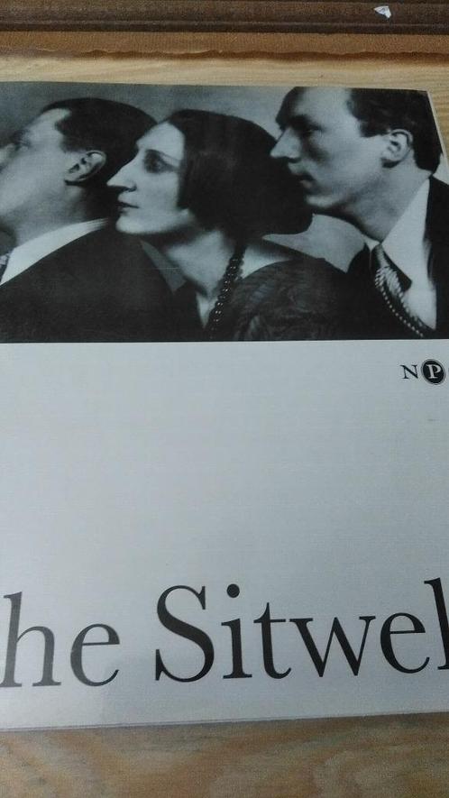 The Sitwells and the Art s of the 1920s and 1930s, Boeken, Taal | Engels, Gelezen, Non-fictie, Verzenden