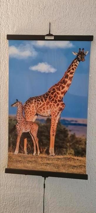 Invroheat wallheather infraroodverwarming poster giraffe beschikbaar voor biedingen