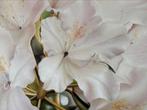 Schilderij met wit/zachtroze bloemen, Ophalen