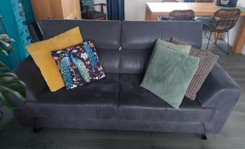 Keurige grijze Henders en Hazel bank beschikbaar voor biedingen