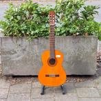 Marina Mark II Akoestische Gitaar | In Nette Staat, Muziek en Instrumenten, Flex Ltd., Zo goed als nieuw, https://flex.com/contact-us