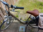 Giant elektrische, Fietsen en Brommers, Fietsen | Tandems, Ophalen of Verzenden, Zo goed als nieuw, Minder dan 10 versnellingen