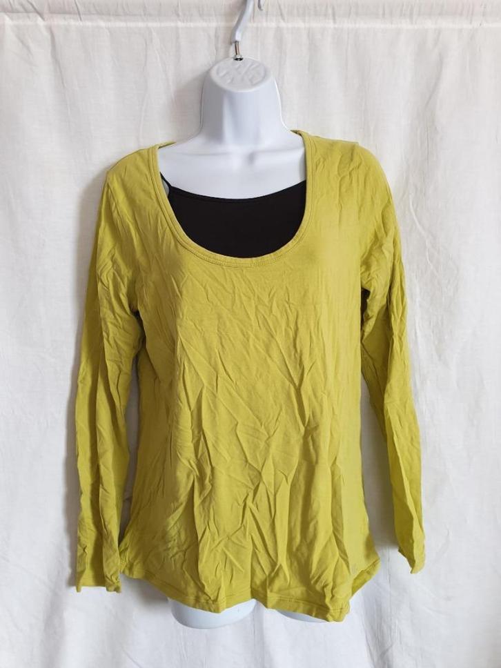 Leuk limoenkleurig shirtje. mt Xl Merk Didi, Kleding | Dames, T-shirts, Zo goed als nieuw, Maat 46/48 (XL) of groter, Groen, Lange mouw