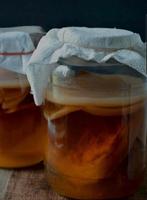 Kombucha zwam - scoby, Ophalen of Verzenden