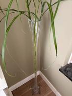 Elegante hoge vaas, Huis en Inrichting, Woonaccessoires | Vazen, Ophalen, Zo goed als nieuw, Glas, 75 cm of meer