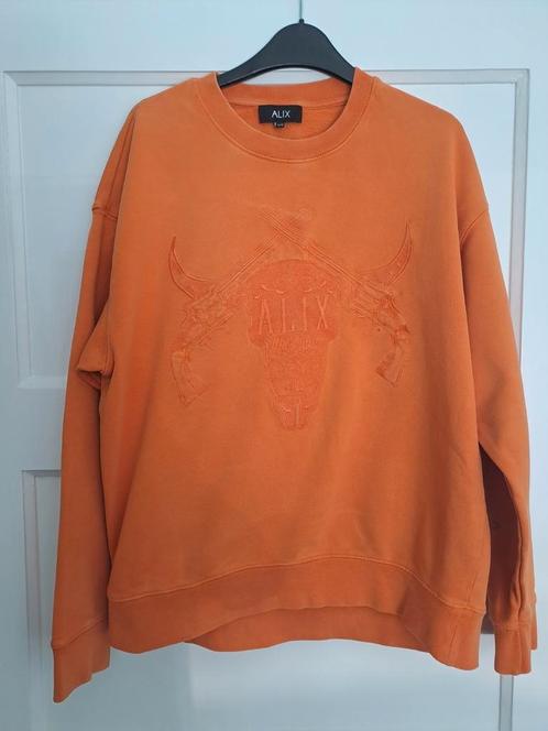 Alix sweater maat XS, Kleding | Dames, Truien en Vesten, Gedragen, Maat 34 (XS) of kleiner, Oranje, Ophalen of Verzenden